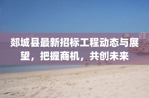 郯城县最新招标工程动态与展望，把握商机，共创未来
