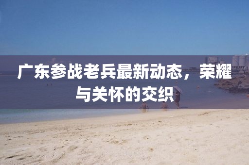 广东参战老兵最新动态，荣耀与关怀的交织