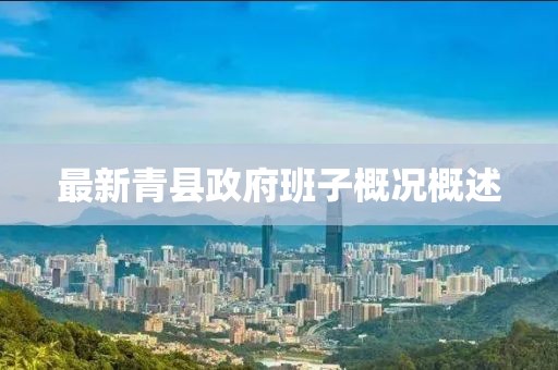 最新青县政府班子概况概述