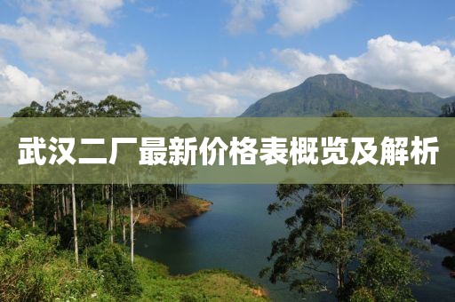 武汉二厂最新价格表概览及解析