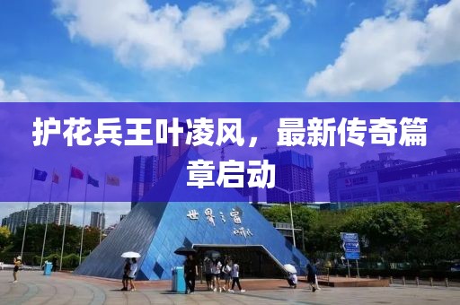护花兵王叶凌风，最新传奇篇章启动
