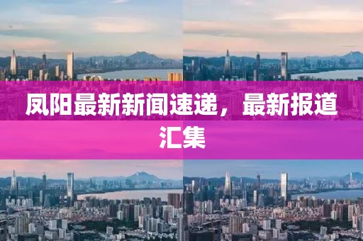 凤阳最新新闻速递，最新报道汇集