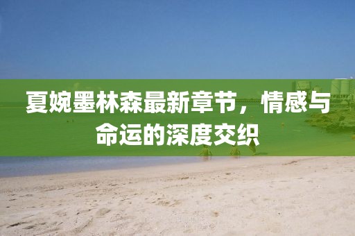 夏婉墨林森最新章节，情感与命运的深度交织