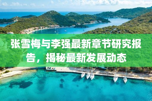 张雪梅与李强最新章节研究报告，揭秘最新发展动态