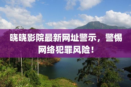 晓晓影院最新网址警示，警惕网络犯罪风险！