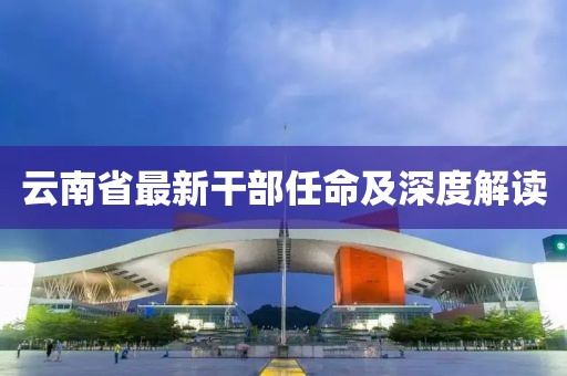 云南省最新干部任命及深度解读