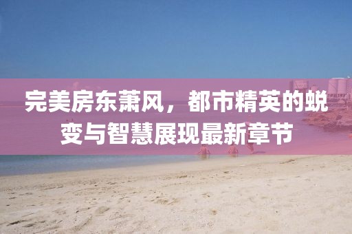 完美房东萧风，都市精英的蜕变与智慧展现最新章节