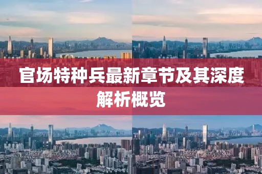 官场特种兵最新章节及其深度解析概览