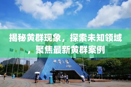 揭秘黄群现象，探索未知领域，聚焦最新黄群案例