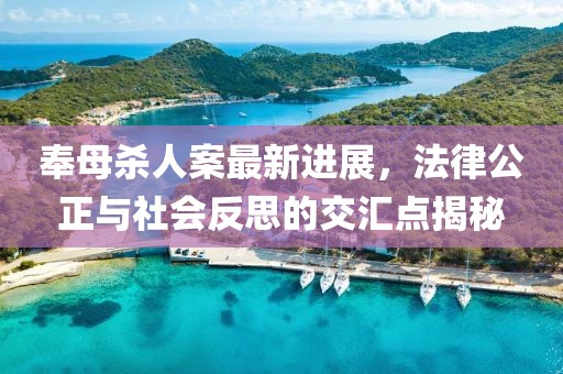 奉母杀人案最新进展，法律公正与社会反思的交汇点揭秘