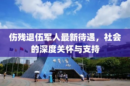 伤残退伍军人最新待遇，社会的深度关怀与支持