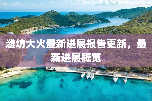 潍坊大火最新进展报告更新，最新进展概览