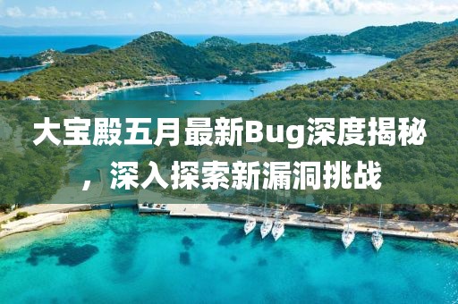 大宝殿五月最新Bug深度揭秘，深入探索新漏洞挑战
