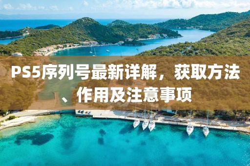 PS5序列号最新详解，获取方法、作用及注意事项