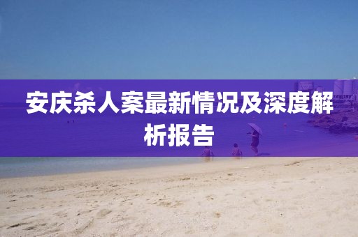 安庆杀人案最新情况及深度解析报告