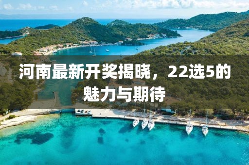 河南最新开奖揭晓，22选5的魅力与期待