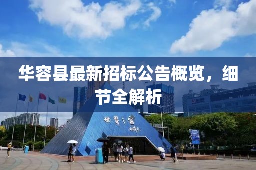 华容县最新招标公告概览，细节全解析