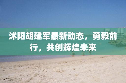 沭阳胡建军最新动态，勇毅前行，共创辉煌未来