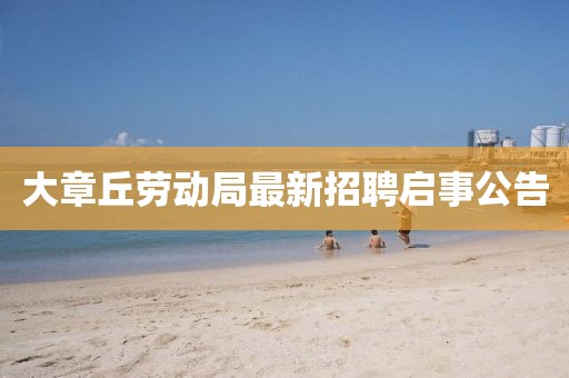 大章丘劳动局最新招聘启事公告