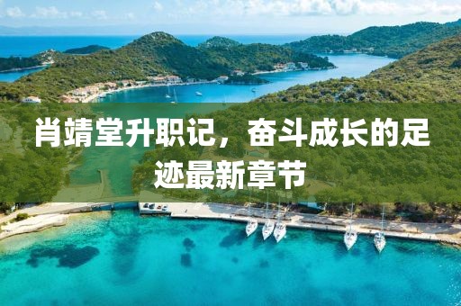肖靖堂升职记，奋斗成长的足迹最新章节