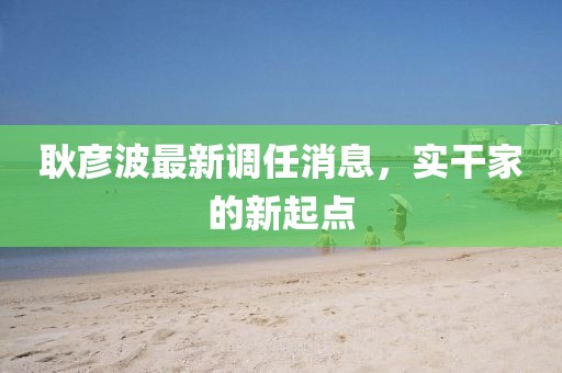 耿彦波最新调任消息，实干家的新起点