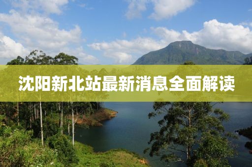 沈阳新北站最新消息全面解读