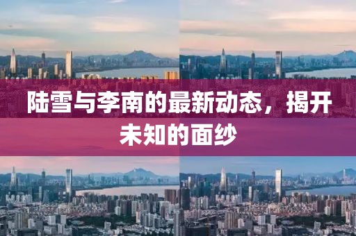 陆雪与李南的最新动态，揭开未知的面纱