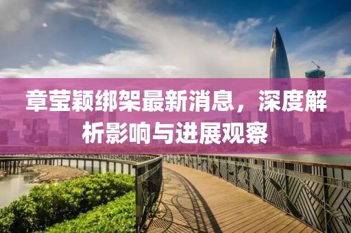章莹颖绑架最新消息，深度解析影响与进展观察