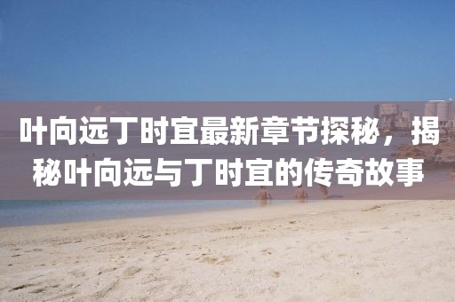 叶向远丁时宜最新章节探秘，揭秘叶向远与丁时宜的传奇故事