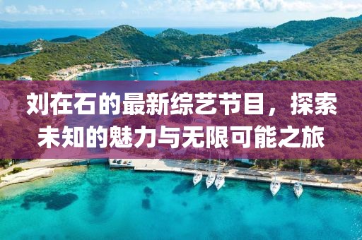 刘在石的最新综艺节目，探索未知的魅力与无限可能之旅
