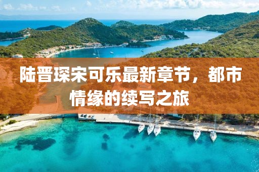 陆晋琛宋可乐最新章节，都市情缘的续写之旅