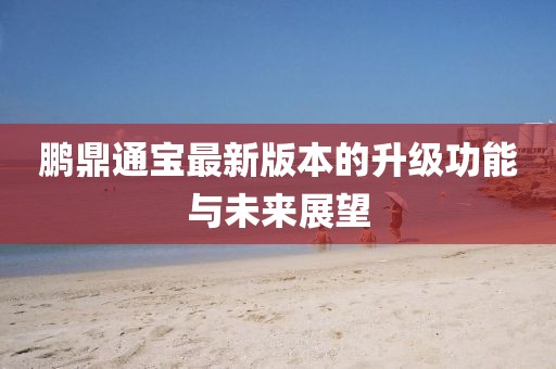 鹏鼎通宝最新版本的升级功能与未来展望