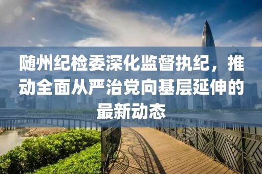 随州纪检委深化监督执纪，推动全面从严治党向基层延伸的最新动态