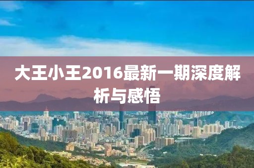 大王小王2016最新一期深度解析与感悟