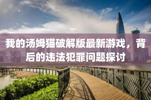 我的汤姆猫破解版最新游戏，背后的违法犯罪问题探讨