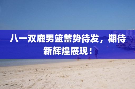 八一双鹿男篮蓄势待发，期待新辉煌展现！
