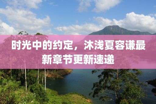 时光中的约定，沐浅夏容谦最新章节更新速递