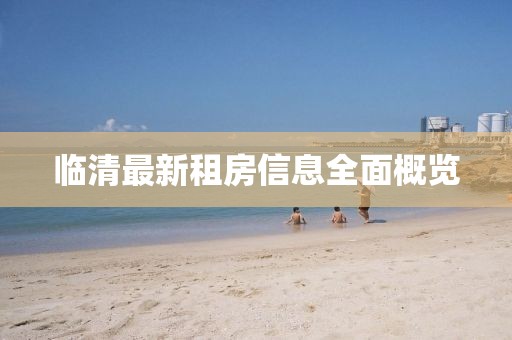 临清最新租房信息全面概览