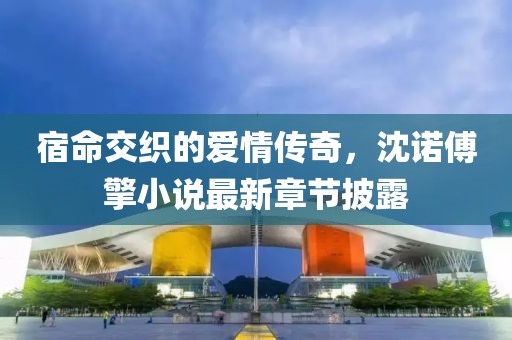 宿命交织的爱情传奇，沈诺傅擎小说最新章节披露