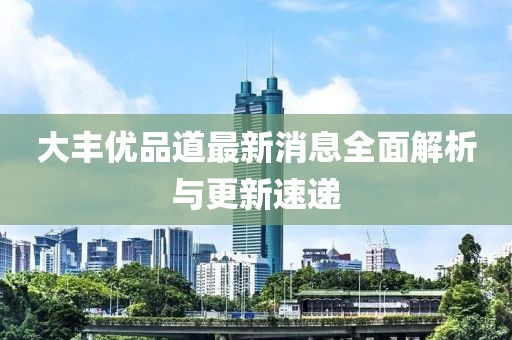 大丰优品道最新消息全面解析与更新速递