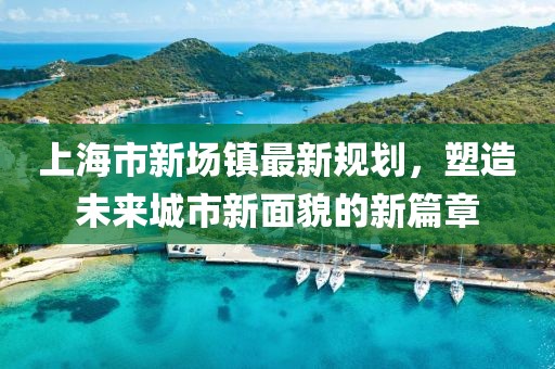 上海市新场镇最新规划，塑造未来城市新面貌的新篇章
