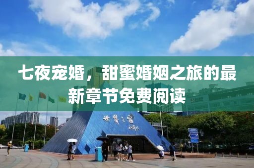 七夜宠婚，甜蜜婚姻之旅的最新章节免费阅读