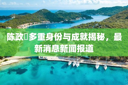 陈政髙多重身份与成就揭秘，最新消息新闻报道