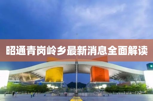 昭通青岗岭乡最新消息全面解读