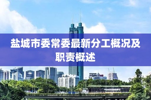 盐城市委常委最新分工概况及职责概述