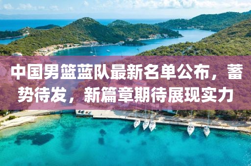 中国男篮蓝队最新名单公布，蓄势待发，新篇章期待展现实力