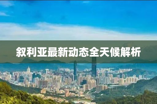 叙利亚最新动态全天候解析