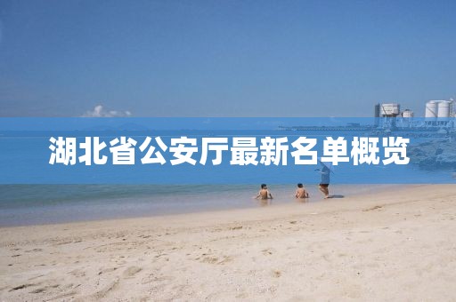 湖北省公安厅最新名单概览