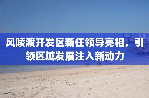 风陵渡开发区新任领导亮相，引领区域发展注入新动力
