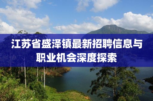 江苏省盛泽镇最新招聘信息与职业机会深度探索